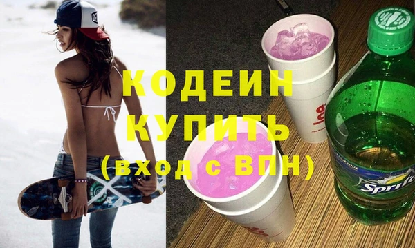 сатива Кулебаки