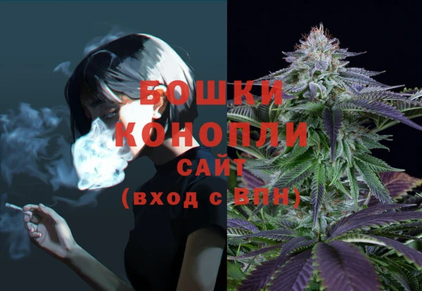 сатива Кулебаки