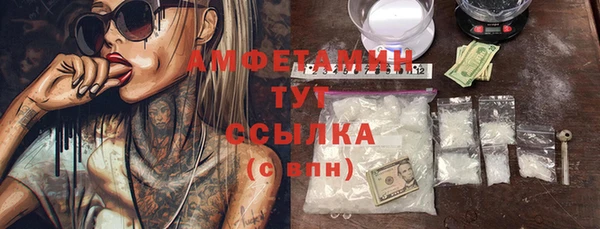 сатива Кулебаки