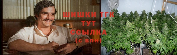 сатива Кулебаки
